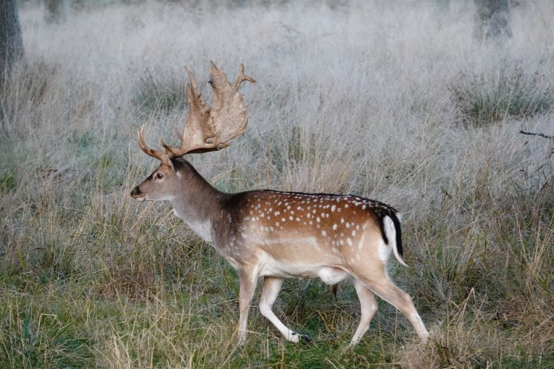 Viewing photos→2020→2020-09-27→18