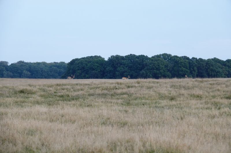 Viewing photos→2020→2020-09-27→20