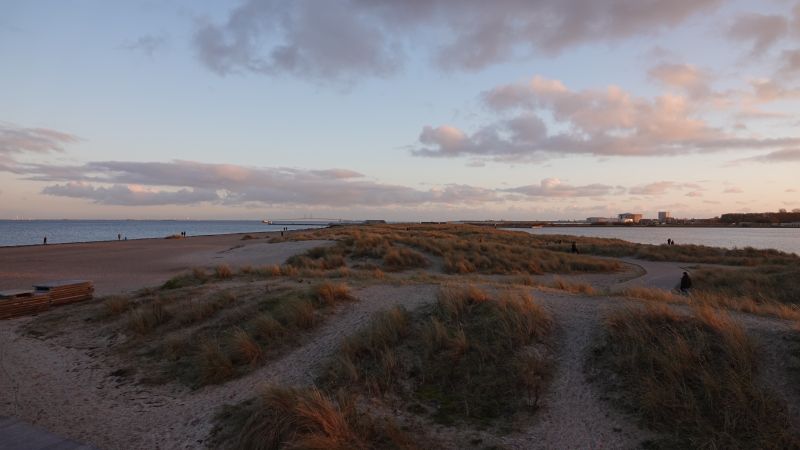 Viewing photos→2020→2020-11-20→3