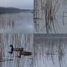 2021-01-02<br/>
<b>Hareskov, Søndersø og Værløse</b>
