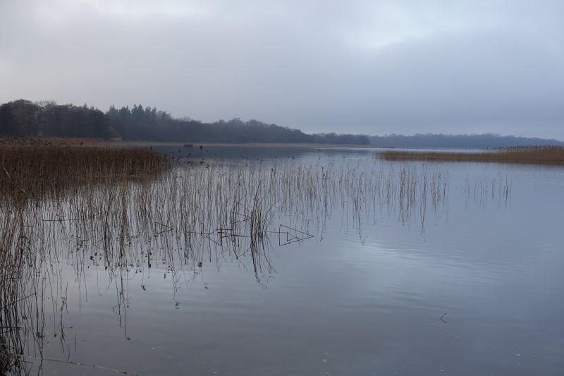 Viewing photos→2021→2021-01-02→1