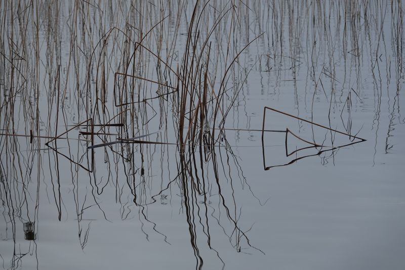 Viewing photos→2021→2021-01-02→3