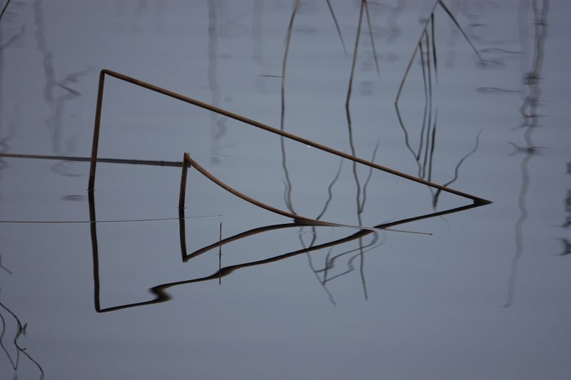 Viewing photos→2021→2021-01-02→4