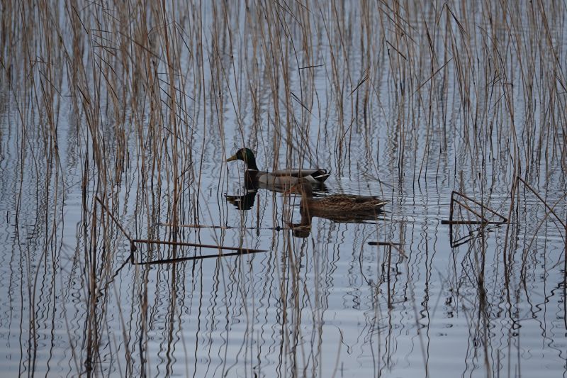 Viewing photos→2021→2021-01-02→5