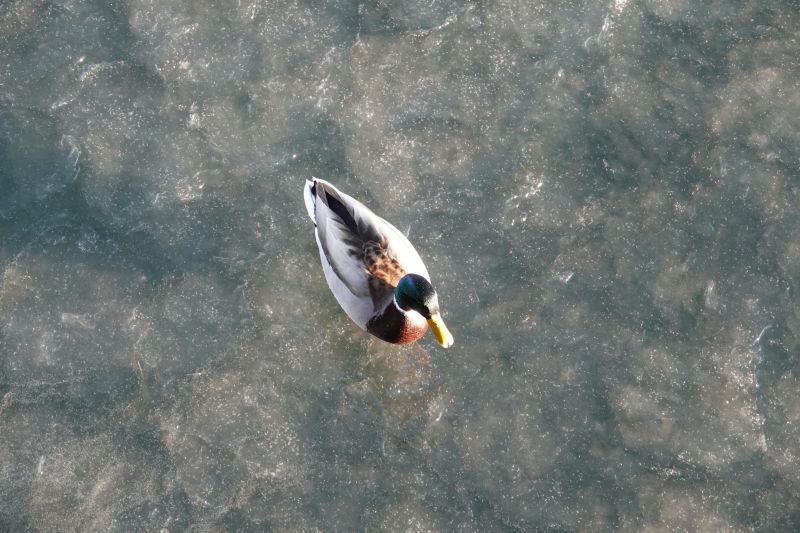 Viewing photos→2021→2021-02-04→09