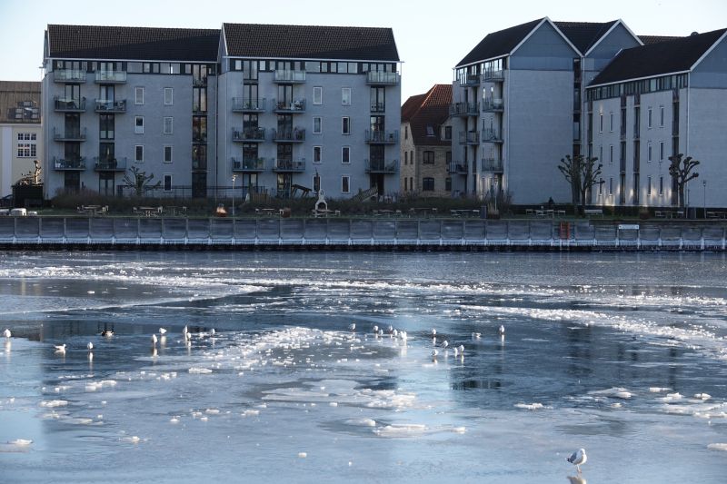 Viewing photos→2021→2021-02-04→14