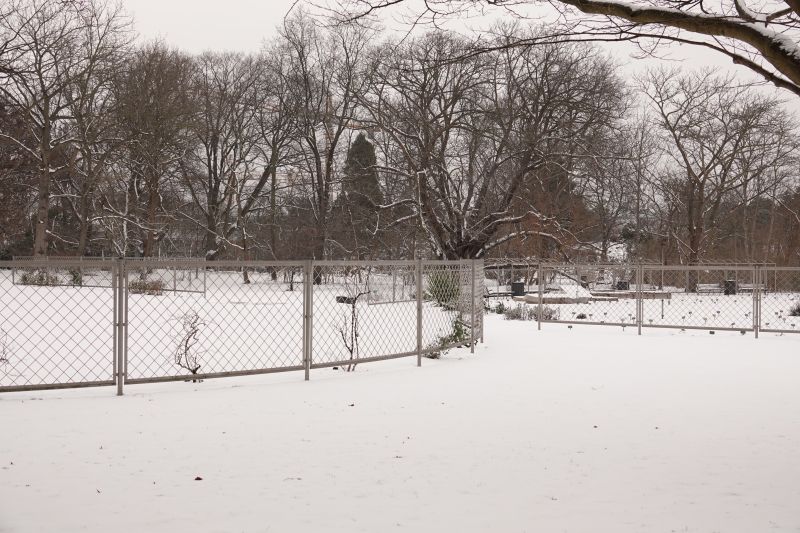 Viewing photos→2021→2021-02-04→23