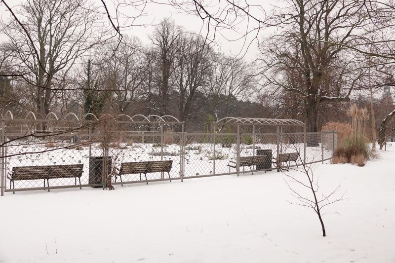 Viewing photos→2021→2021-02-04→24