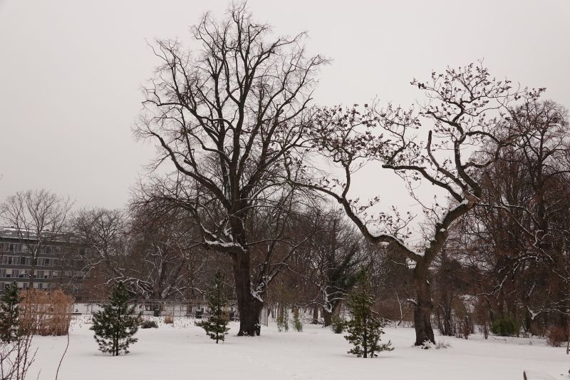 Viewing photos→2021→2021-02-04→25