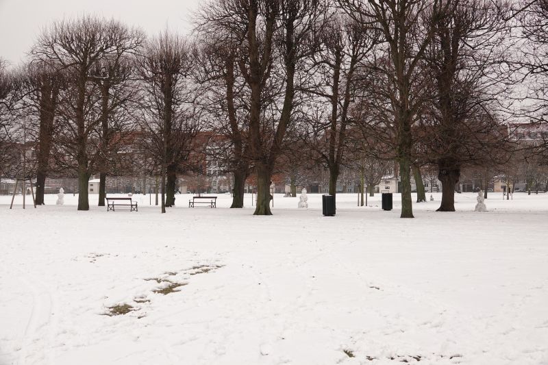 Viewing photos→2021→2021-02-04→28