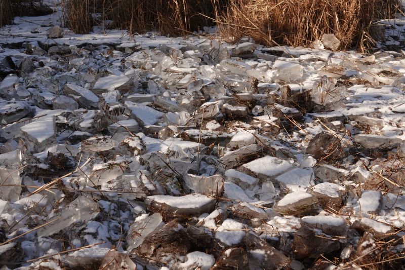 Viewing photos→2021→2021-02-13→06