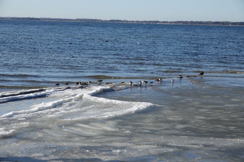 Viewing photos→2021→2021-02-13→08