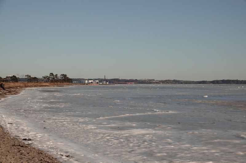 Viewing photos→2021→2021-02-13→36