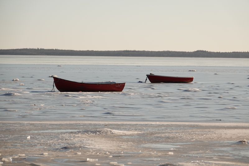 Viewing photos→2021→2021-02-13→37