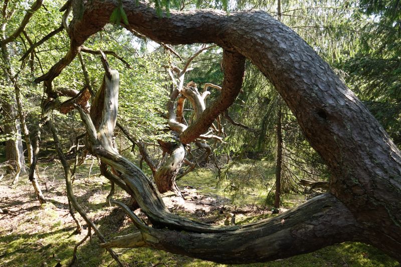 Viewing photos→2021→2021-07-11→1