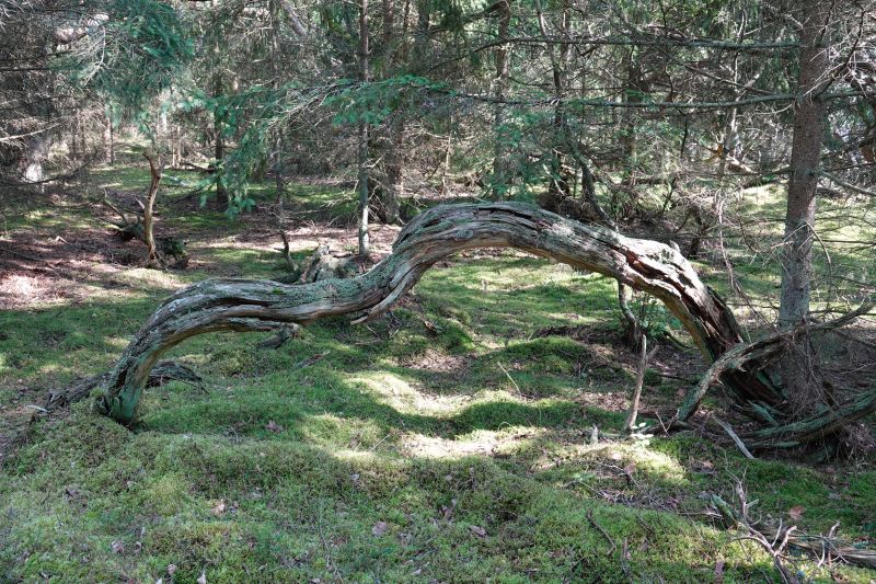 Viewing photos→2021→2021-07-11→3