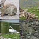 2021-07-14<br/>
<b>Malmö</b>
