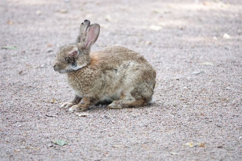 Viewing photos→2021→2021-07-14→01