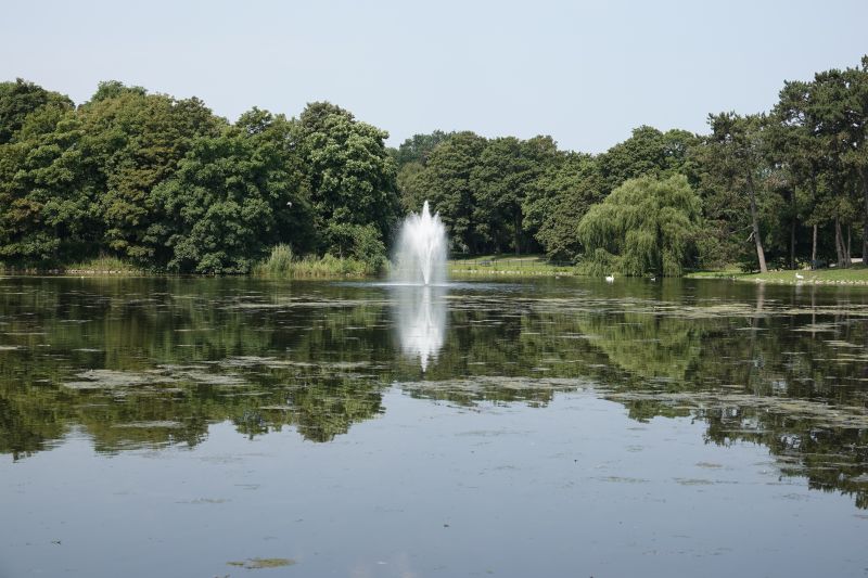 Viewing photos→2021→2021-07-14→03