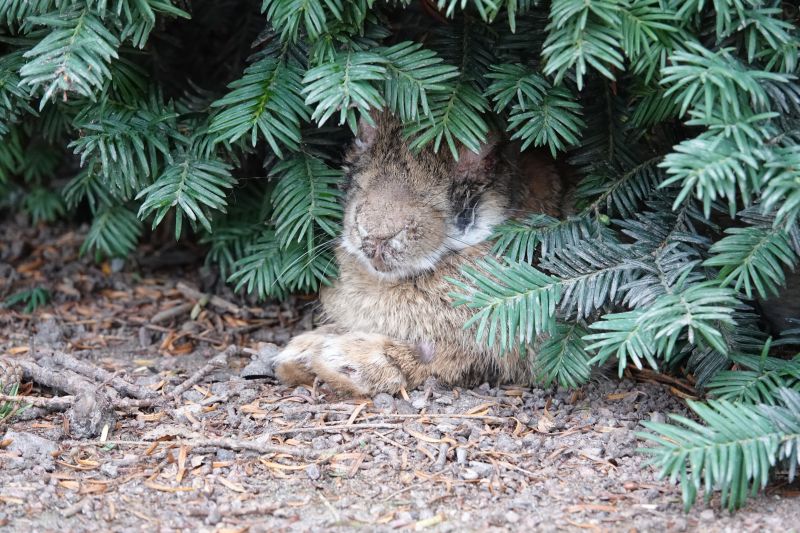 Viewing photos→2021→2021-07-14→04