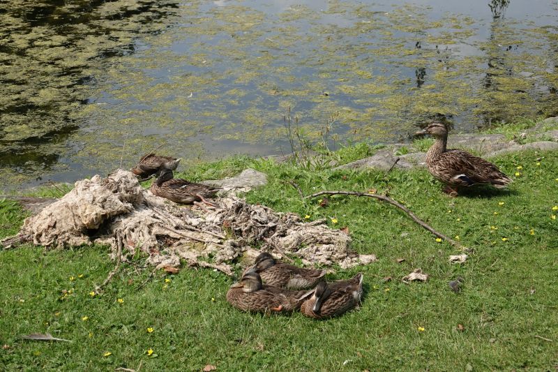 Viewing photos→2021→2021-07-14→05