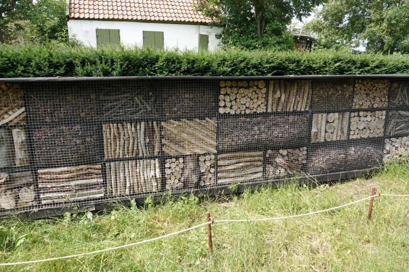 Viewing photos→2021→2021-07-14→11