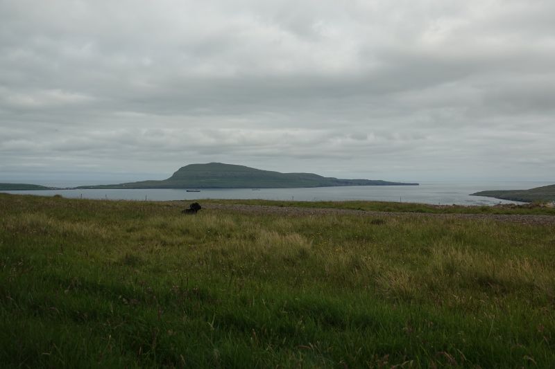 Viewing photos→2021→2021-08-01→003