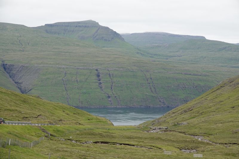 Viewing photos→2021→2021-08-01→010