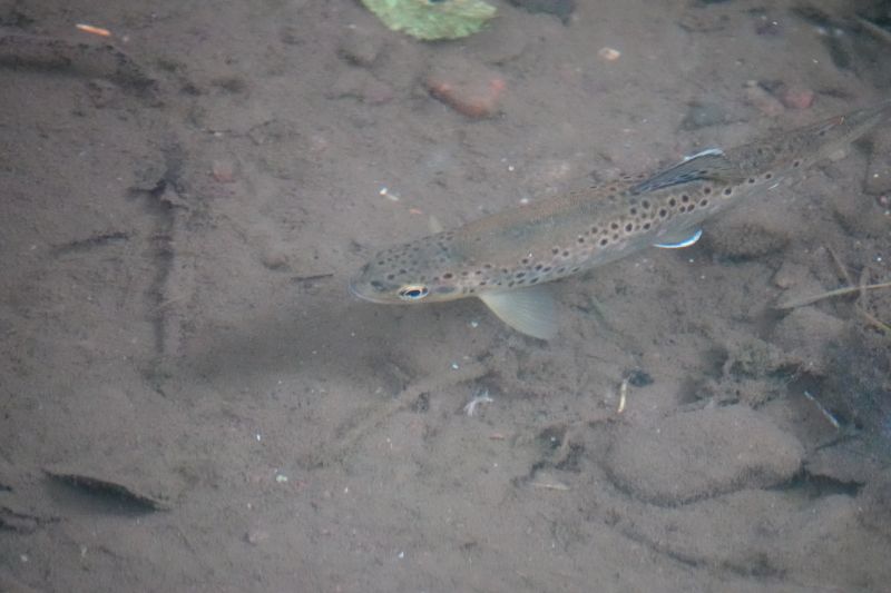 Viewing photos→2021→2021-08-01→023