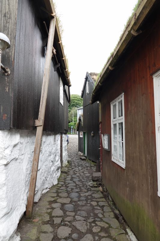 Viewing photos→2021→2021-08-01→041