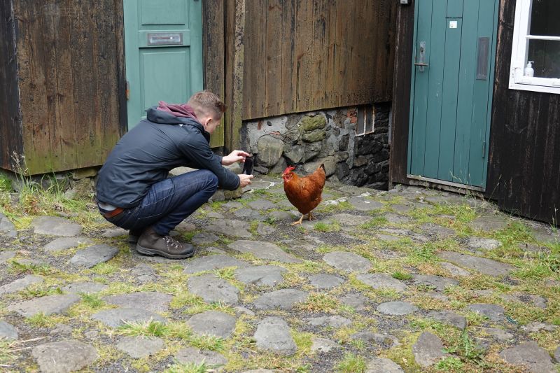 Viewing photos→2021→2021-08-01→053