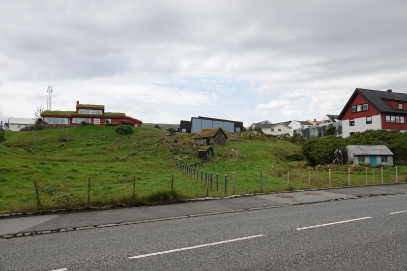 Viewing photos→2021→2021-08-01→067