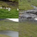 2021-08-02<br/>
<b>Kollfjarðardalur; Faroes</b>

