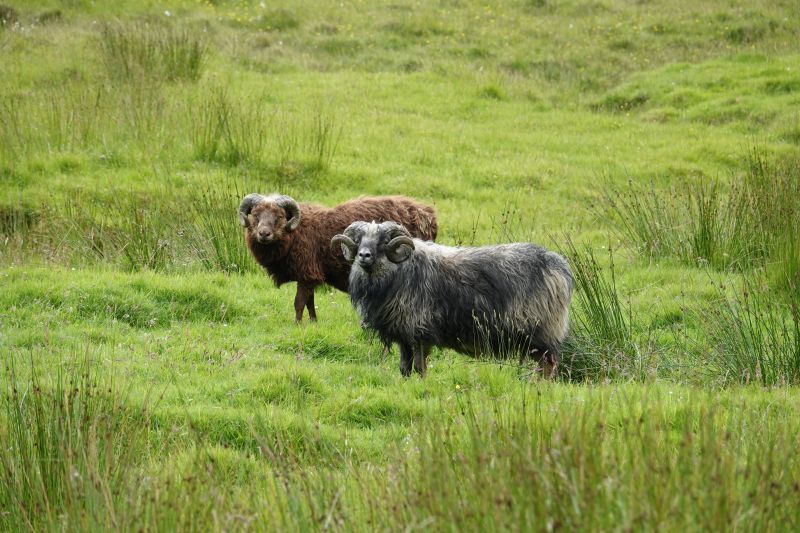 Viewing photos→2021→2021-08-02→04