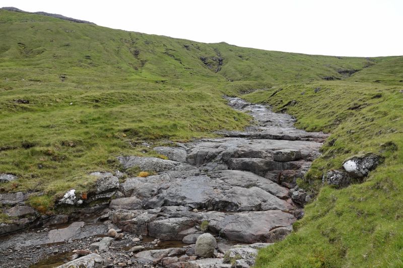 Viewing photos→2021→2021-08-02→08