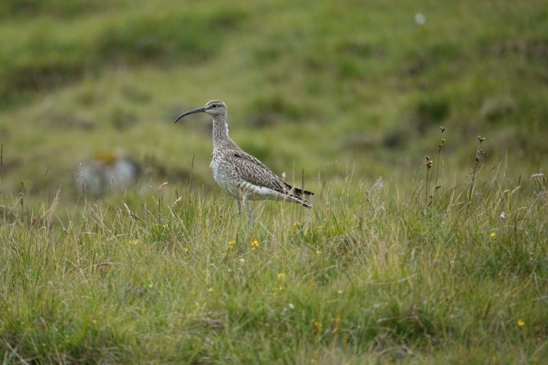 Viewing photos→2021→2021-08-02→11