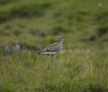 12.jpeg - 2021:08:02 16:44:22