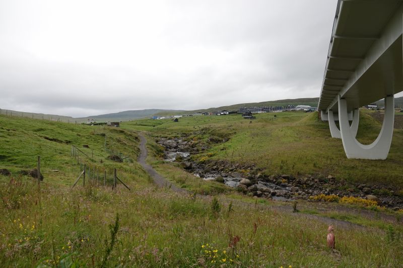 Viewing photos→2021→2021-08-03→02