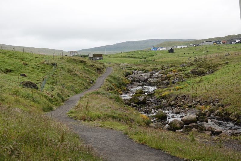 Viewing photos→2021→2021-08-03→03