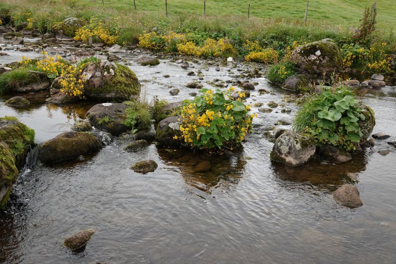 Viewing photos→2021→2021-08-03→07