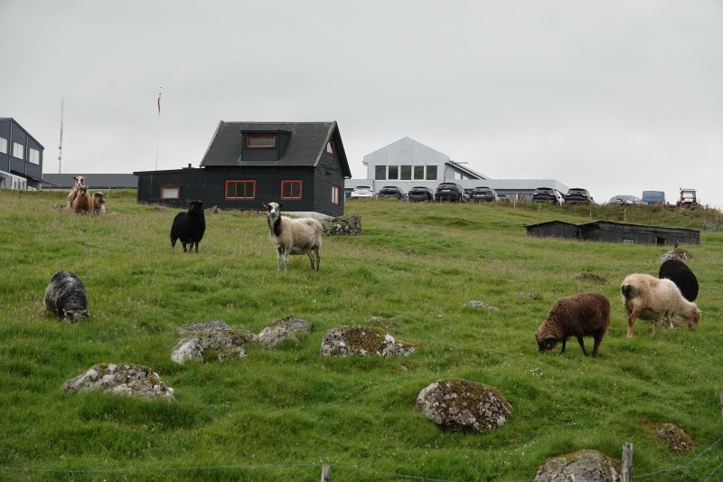 Viewing photos→2021→2021-08-03→09