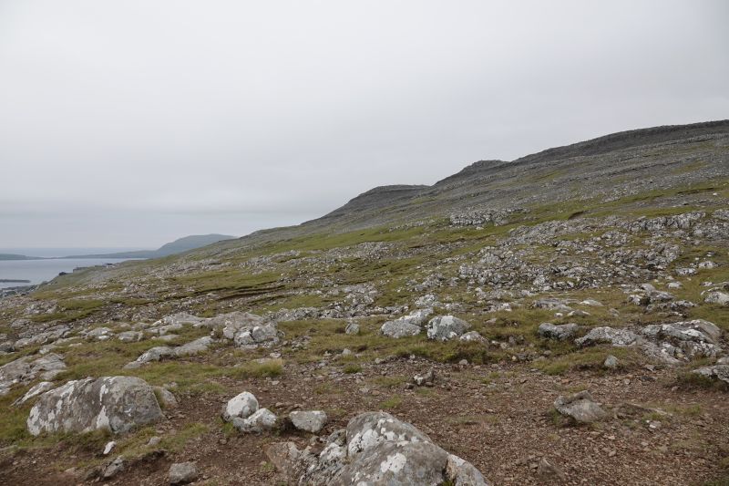 Viewing photos→2021→2021-08-03→22