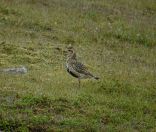 23.jpeg - 2021:08:03 10:34:18