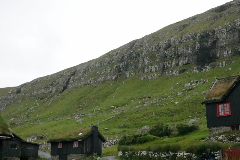 Viewing photos→2021→2021-08-03→42