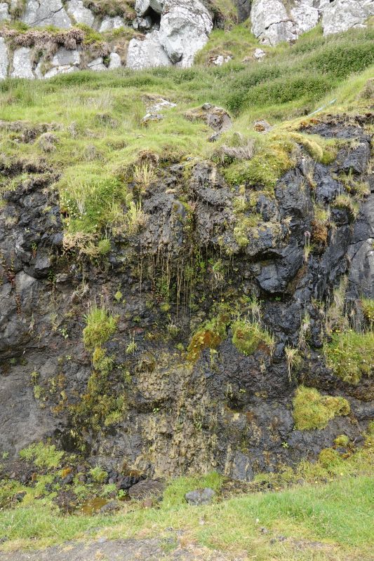 Viewing photos→2021→2021-08-03→51