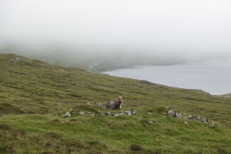 Viewing photos→2021→2021-08-04→03