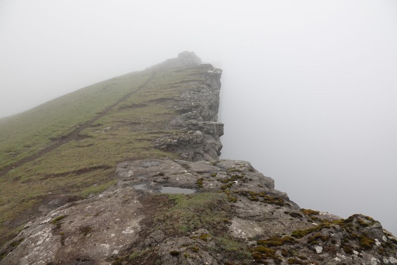 Viewing photos→2021→2021-08-04→10