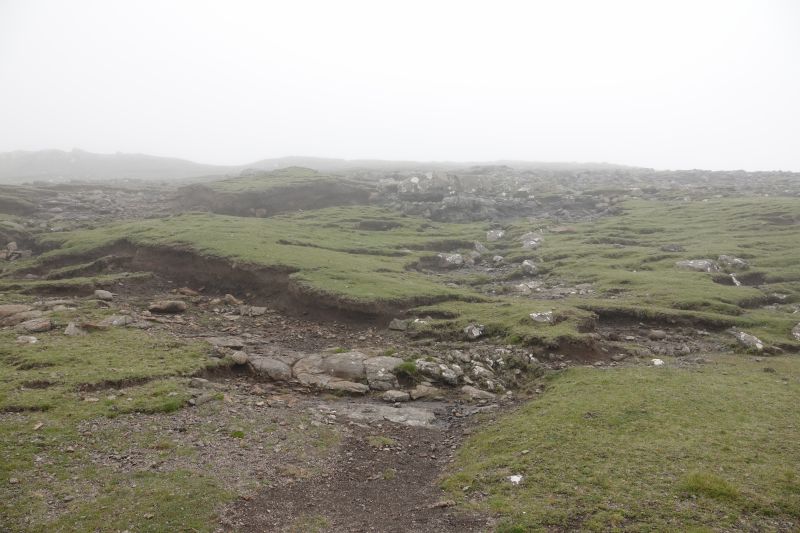 Viewing photos→2021→2021-08-04→11