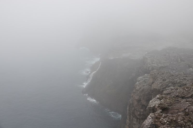 Viewing photos→2021→2021-08-04→13