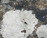 14.jpeg - 2021:08:04 11:53:28